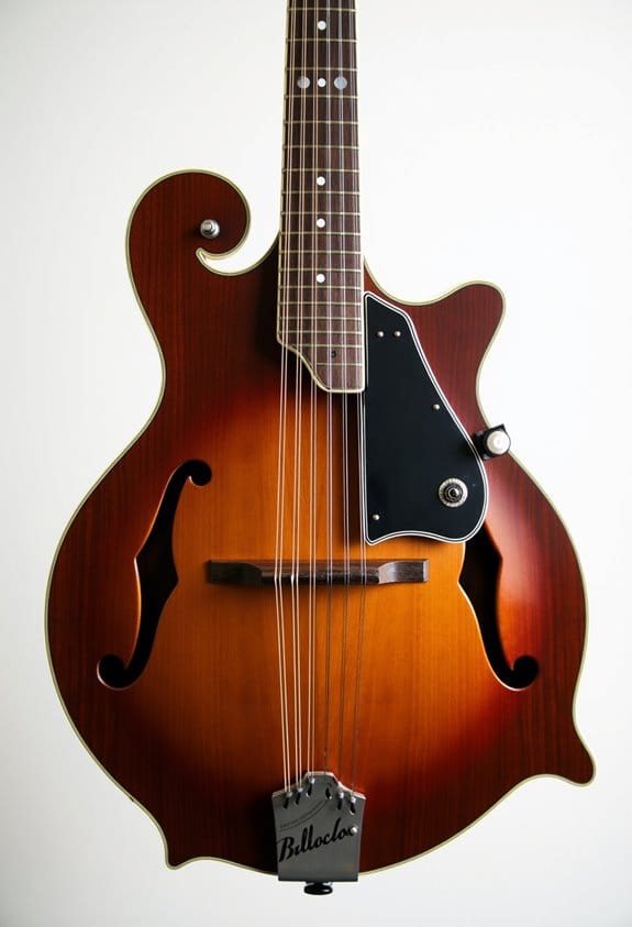 top mandolins for bluegrass